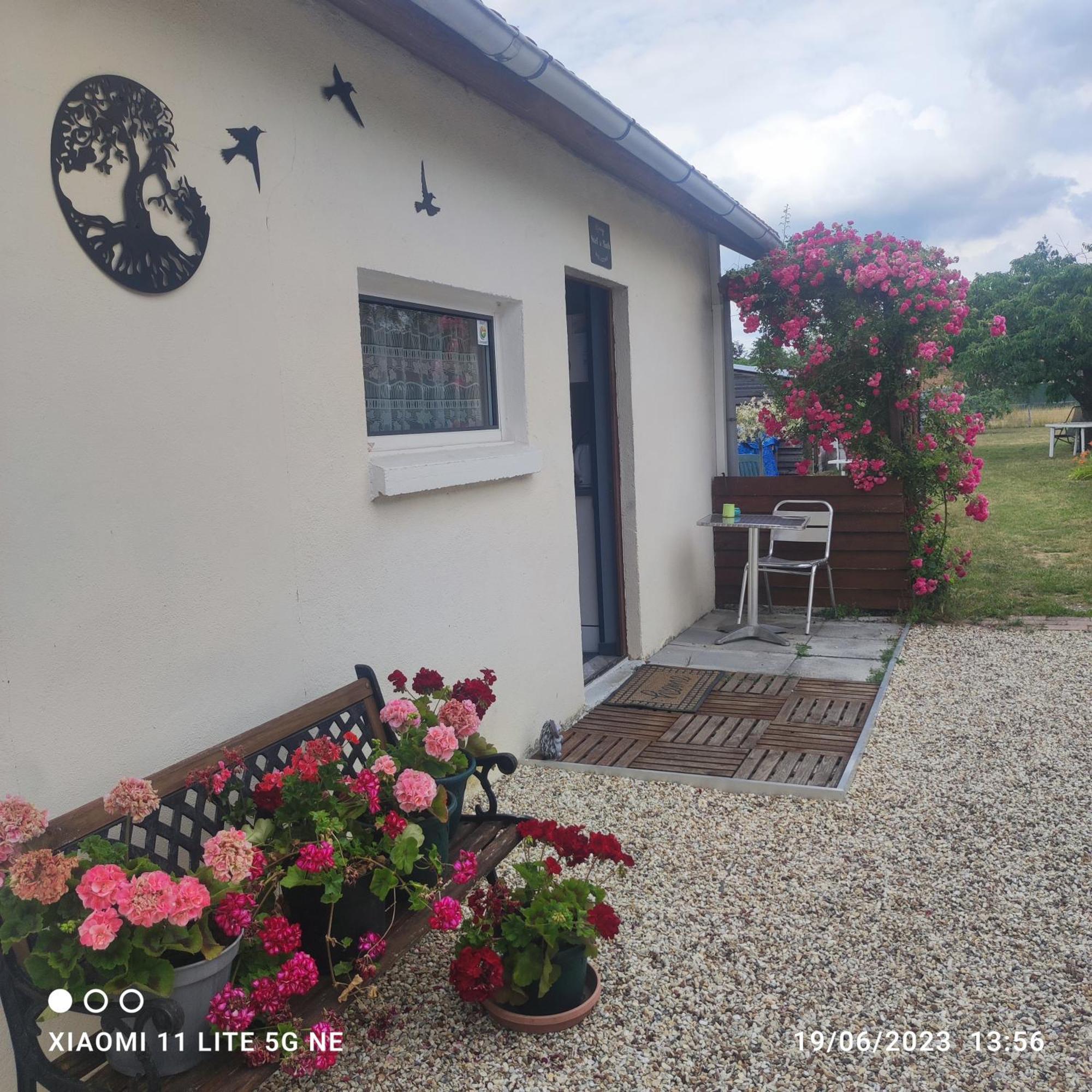 Tranquillite & Independance Au Coeur De La Sologne Pensionat Lamotte-Beuvron Eksteriør billede